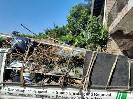 Best Retail Junk Removal in Hermann, MO